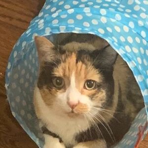 Meet your Posher, Victoria